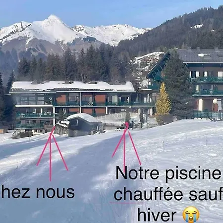 Les Grizzlis Sur Les Pistes Piscine Tennis Petanque. *