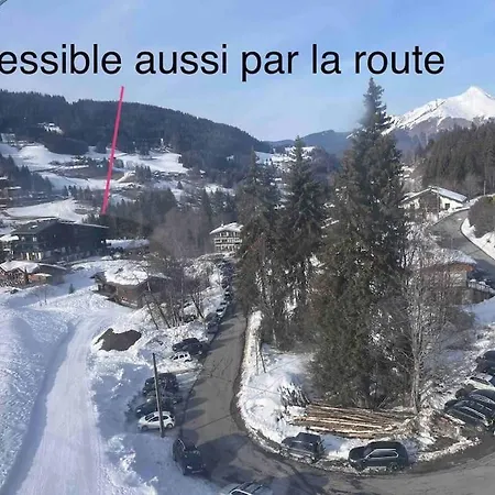 Les Grizzlis Sur Les Pistes Piscine Tennis Petanque. Apartment Les Gets