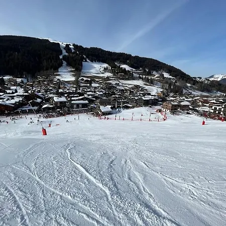 Les Grizzlis Sur Les Pistes Piscine Tennis Petanque. Apartmán