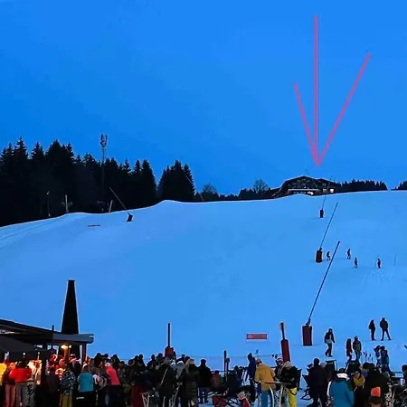 Les Grizzlis Sur Les Pistes Piscine Tennis Petanque. Apartmán *