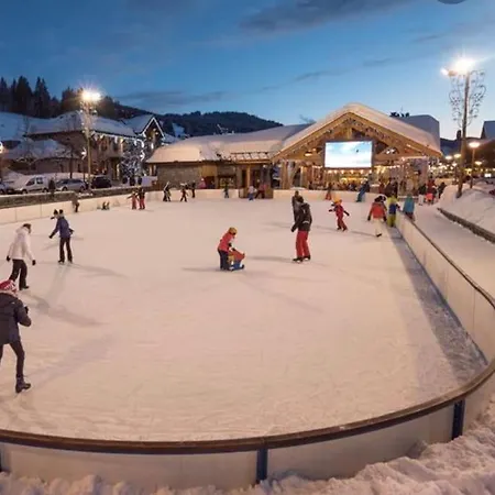 Les Grizzlis Sur Les Pistes Piscine Tennis Petanque. Apartmán