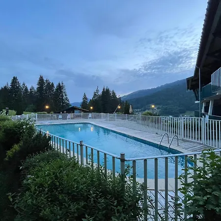Les Grizzlis Sur Les Pistes Piscine Tennis Petanque. Les Gets